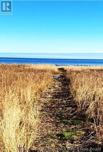 Photo of Listing #NB111098