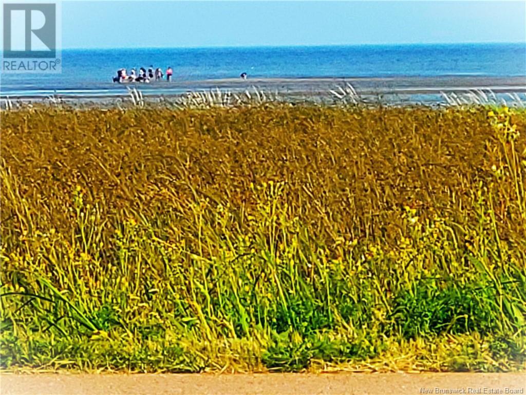 Photo of Listing #NB111097