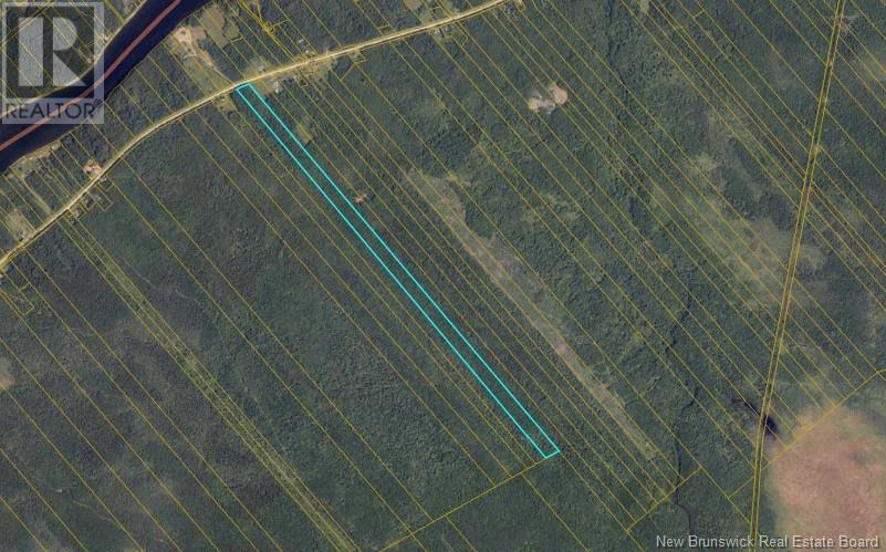 Photo of Listing #NB111222