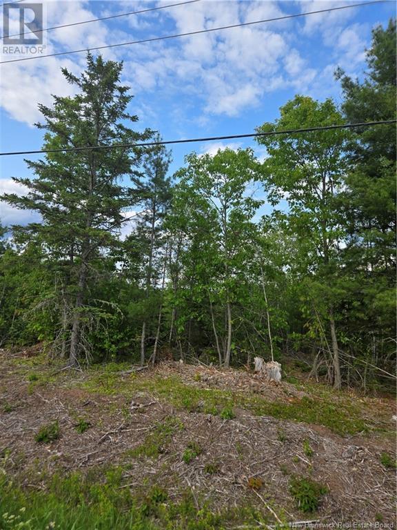 Photo of Listing #NB111384