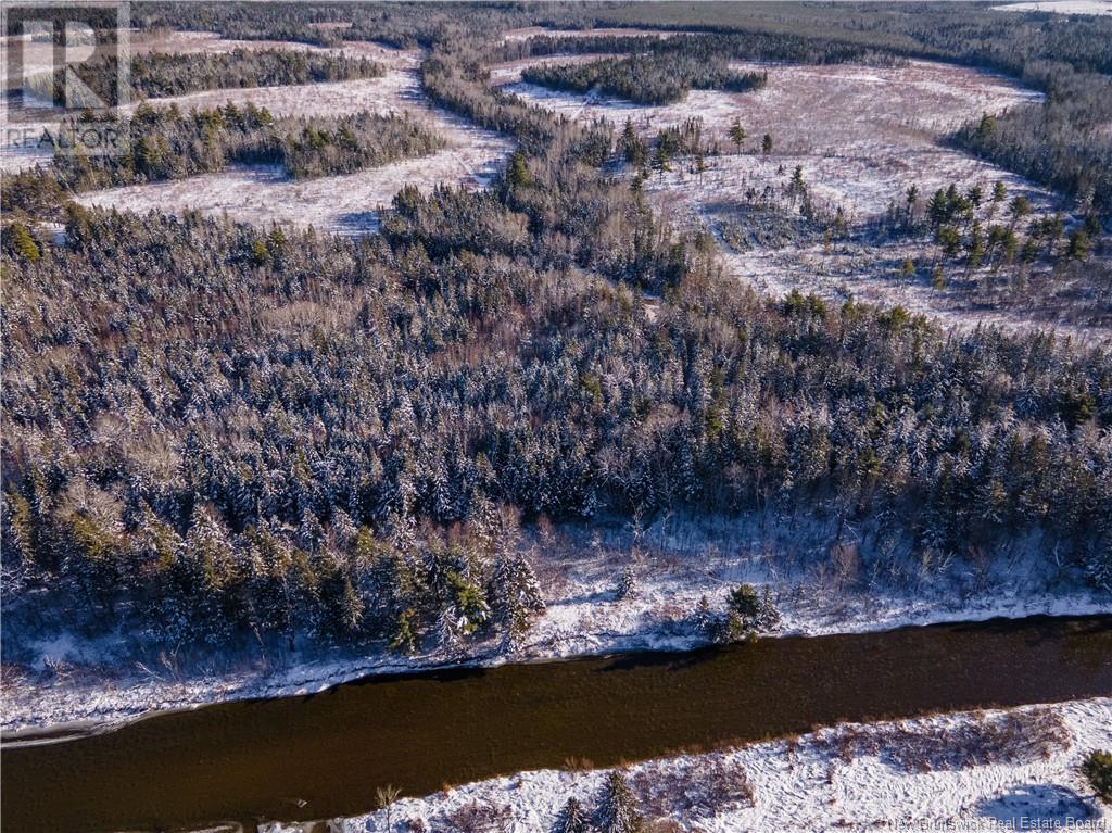 Photo of Listing #NB111424