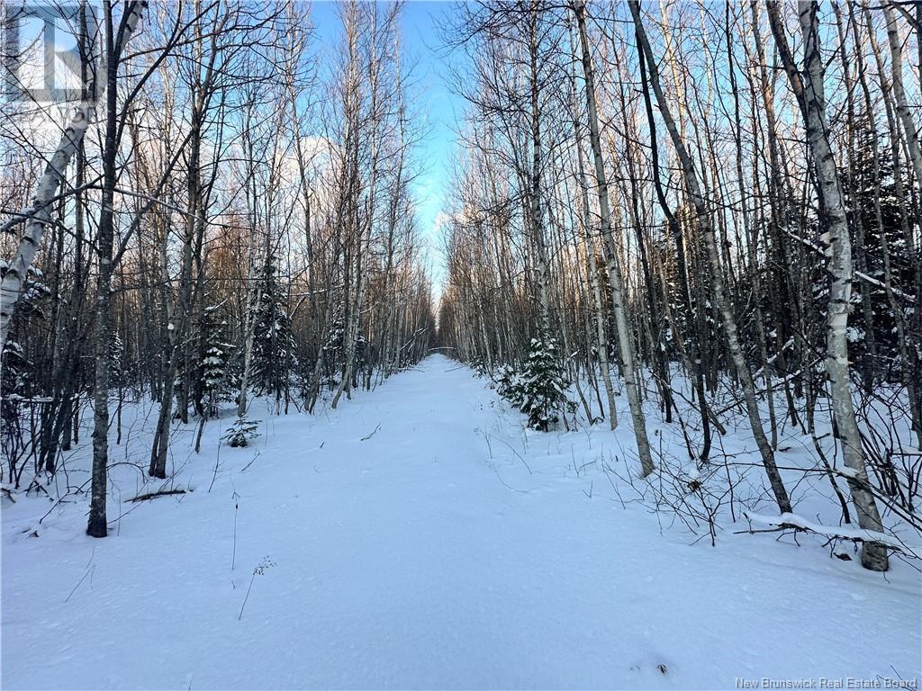 Photo of Listing #NB111493