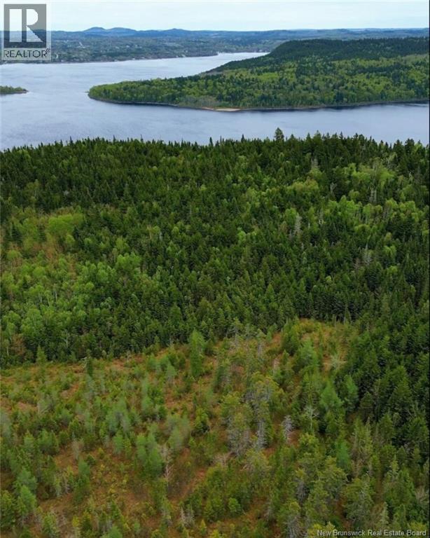 Photo of Listing #NB111607