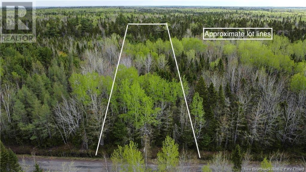 Photo of Listing #NB111996