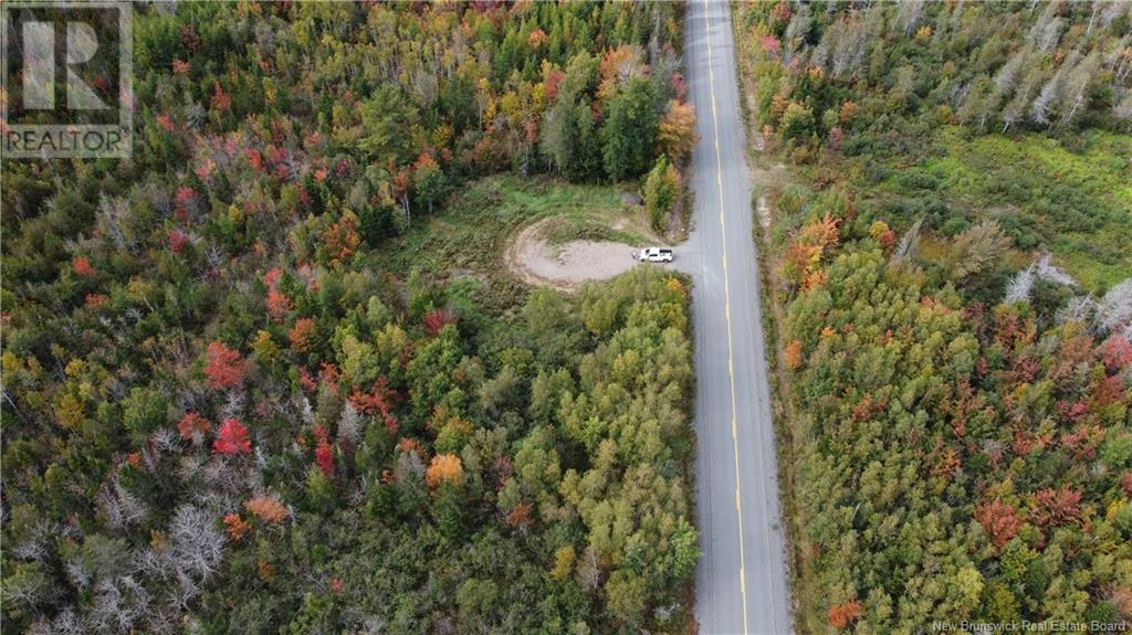 Photo of Listing #NB111889