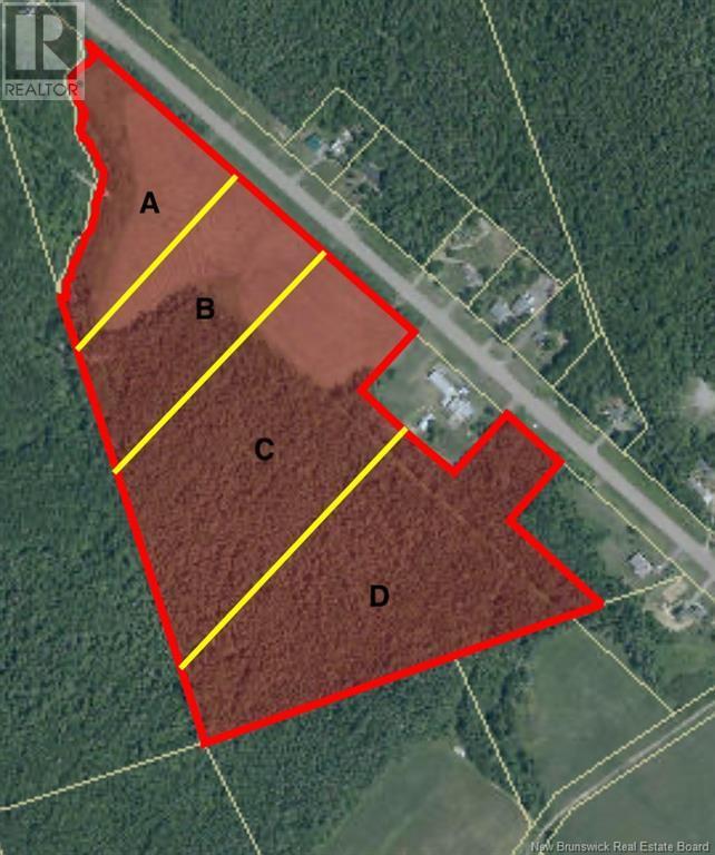 Photo of Listing #NB112250