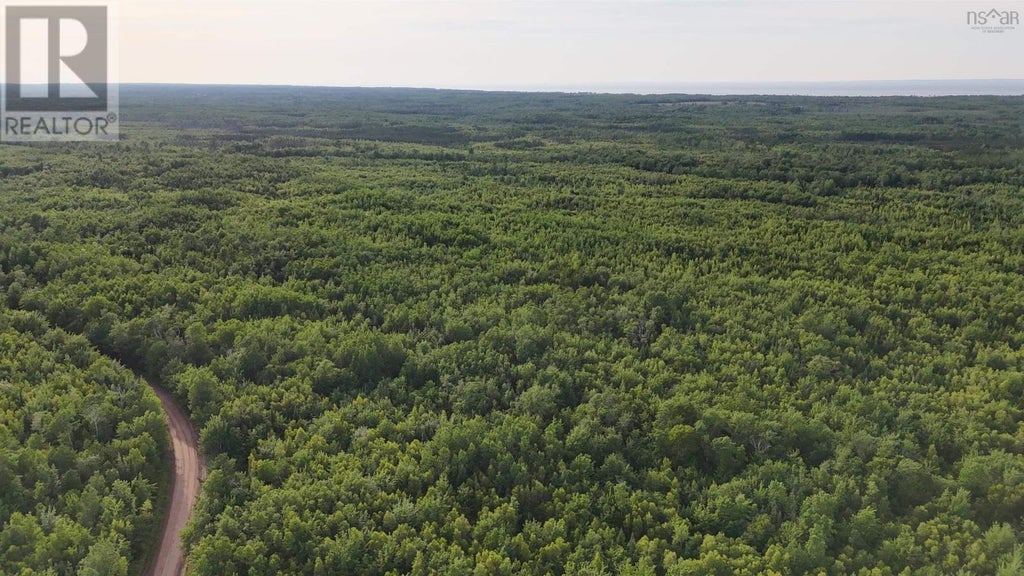 458 Acres Protection Road, Three Brooks