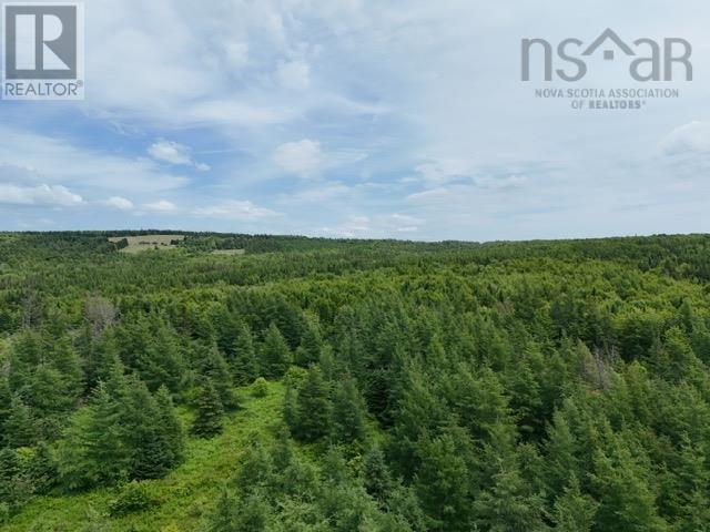 Parcel B Macleod Settlement Road, Upper Southwest Mabou