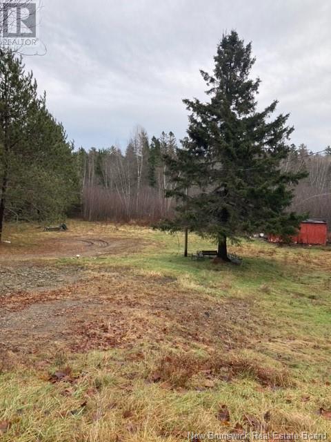 Photo of Listing #NB112261