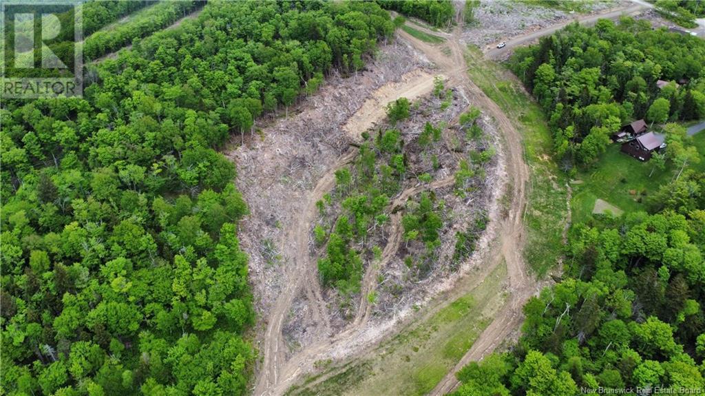 Photo of Listing #NB112304