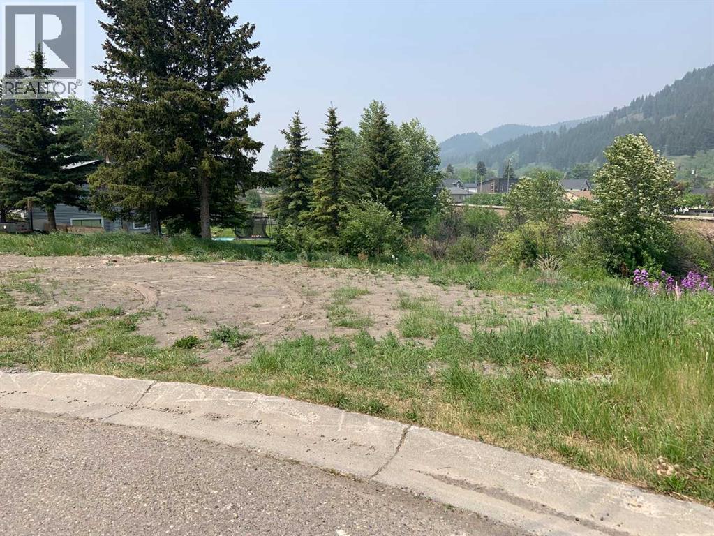 13537 19 Avenue, Blairmore