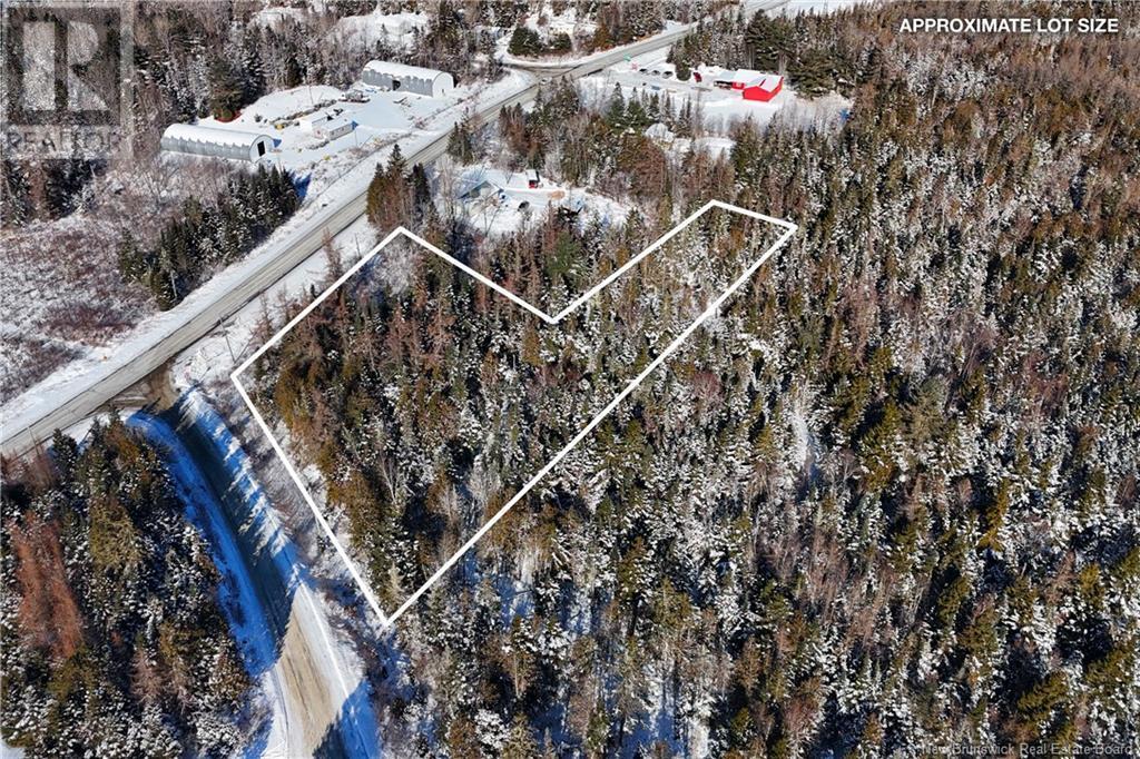 Photo of Listing #NB112392