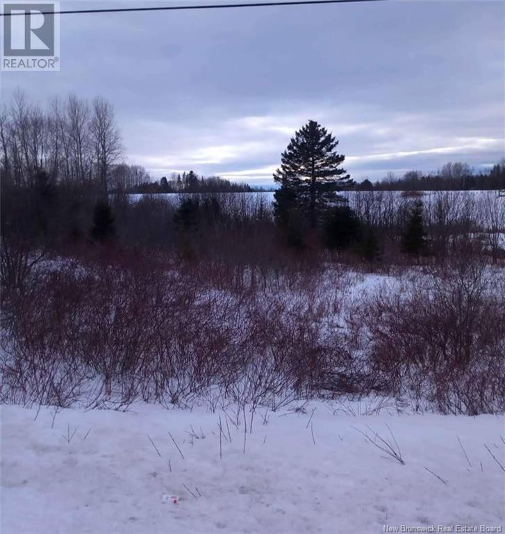 Photo of Listing #NB112409