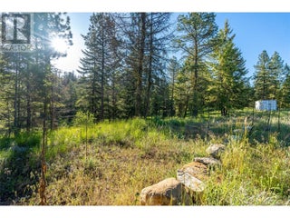 375 Grizzly Place. Osoyoos, British Columbia