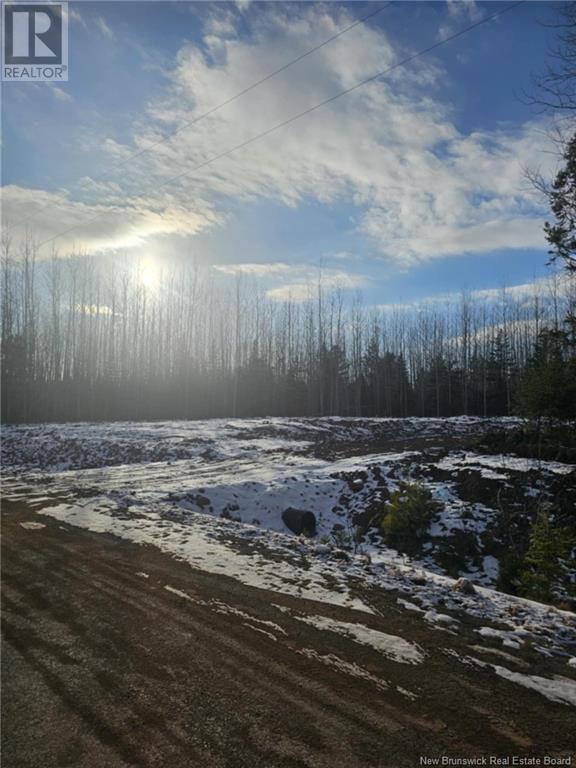 Photo of Listing #NB112518