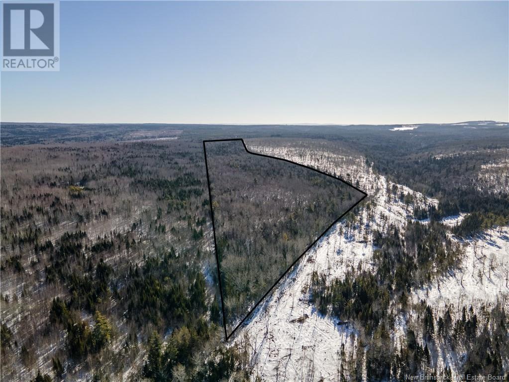 Photo of Listing #NB112793