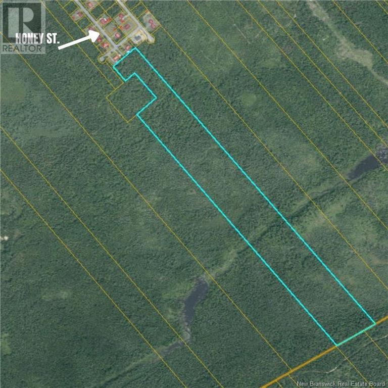 Photo of Listing #NB112854