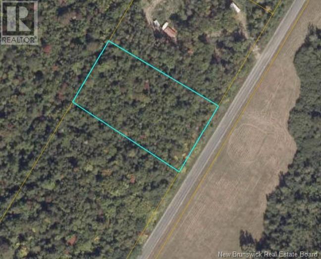 Photo of Listing #NB113093