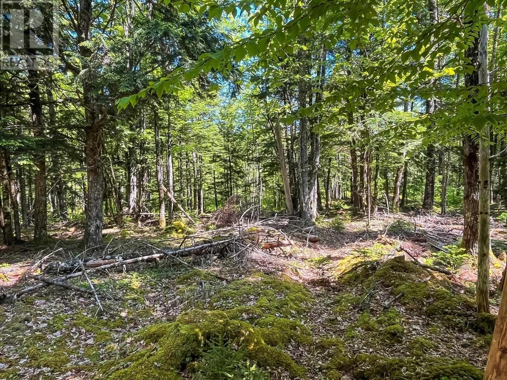 Lot 1000-3 Conquerall Road, Conquerall Bank