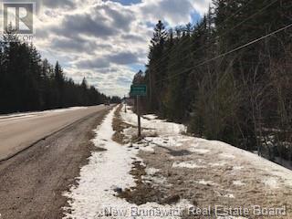 Photo of Listing #NB113343