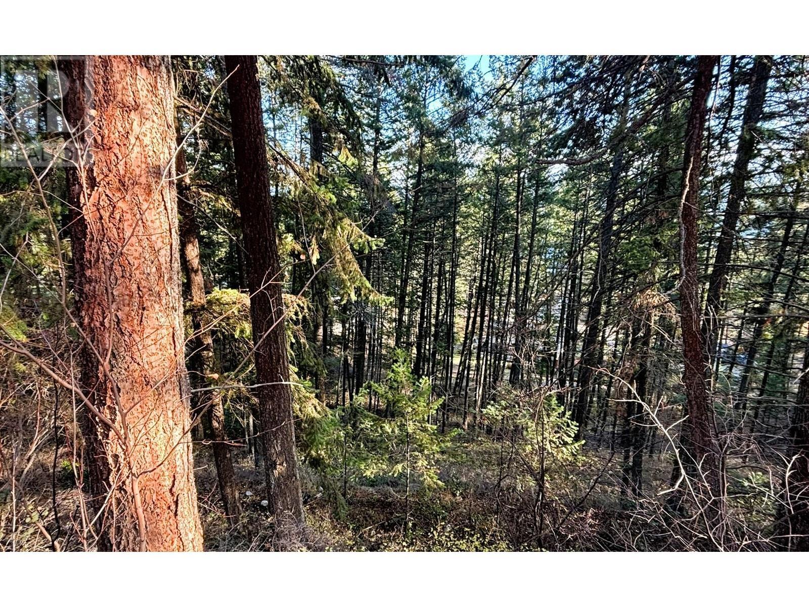 Lot 145 Keithley Road Lot# 145. Vernon, British Columbia