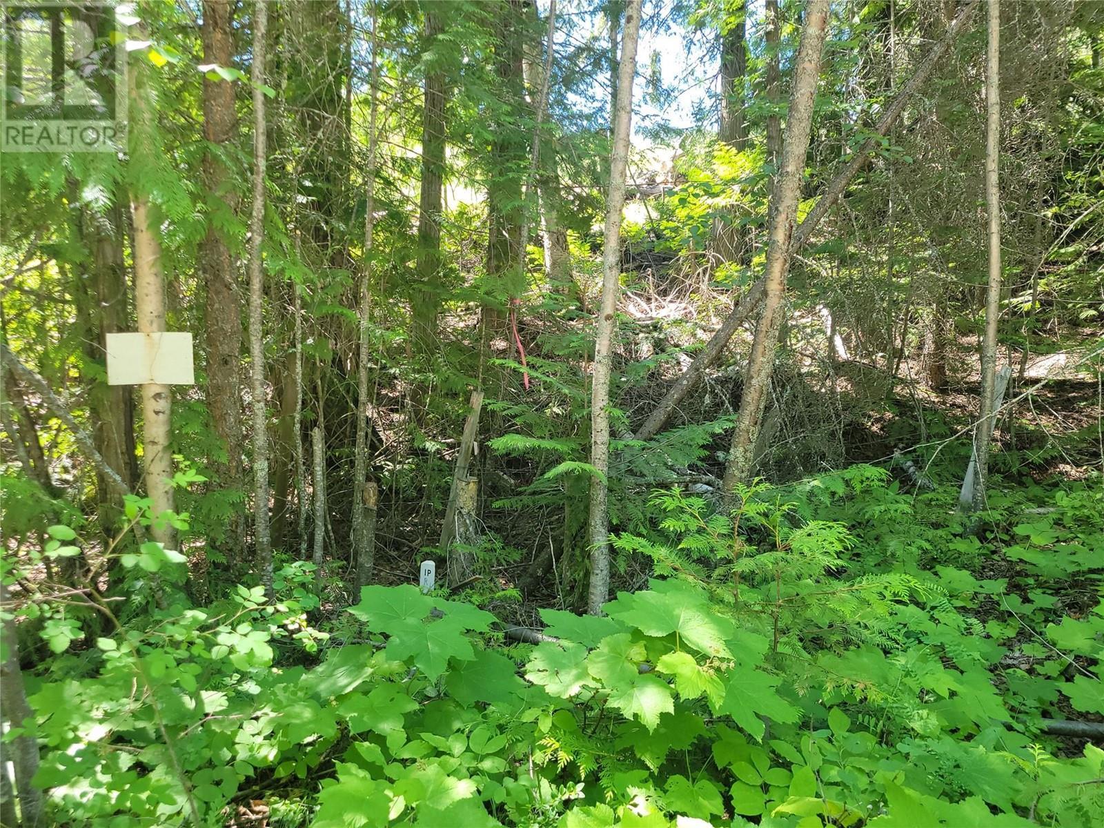 941 Chase Falkland Road. Chase, British Columbia