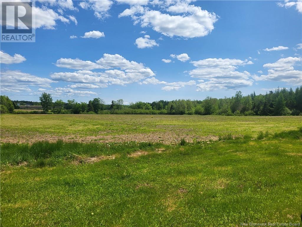 Photo of Listing #NB113831