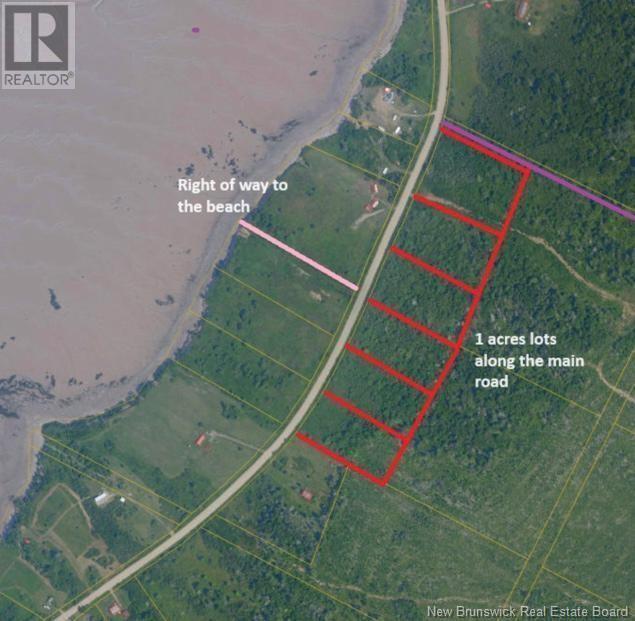 Photo of Listing #NB113957