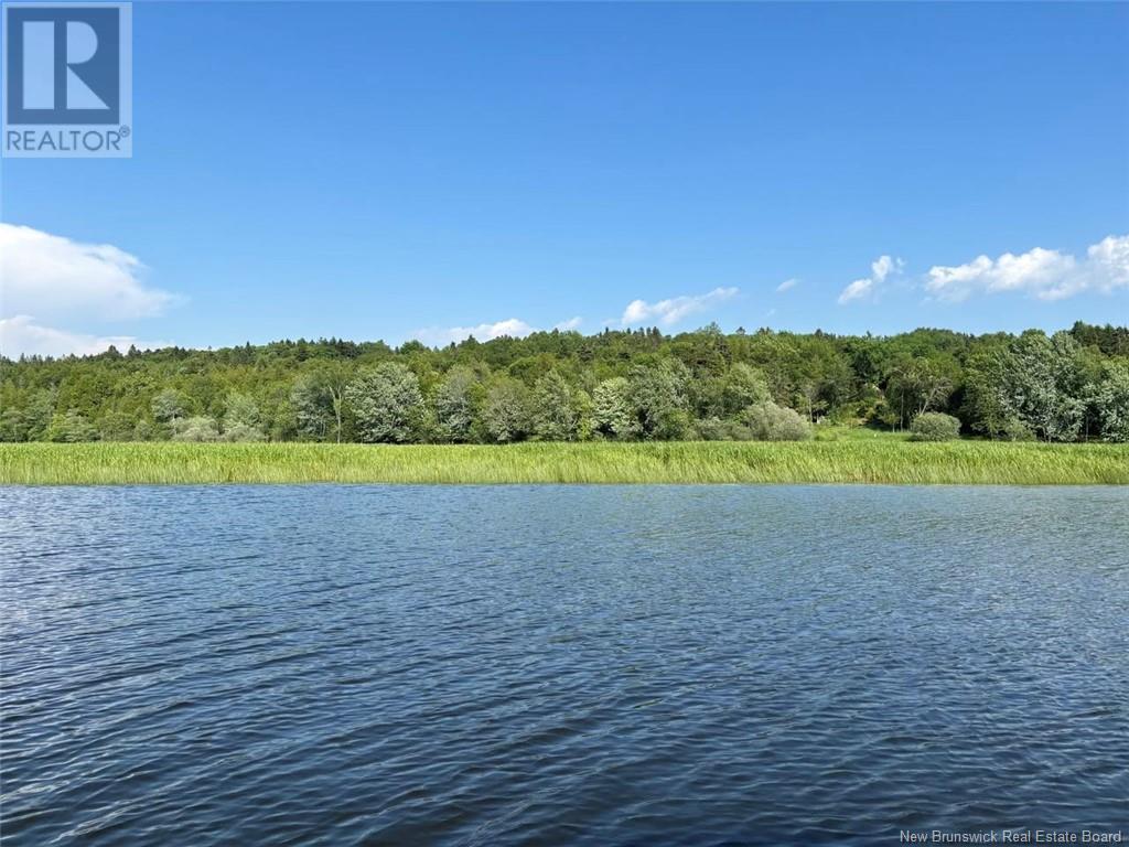 Photo of Listing #NB114232