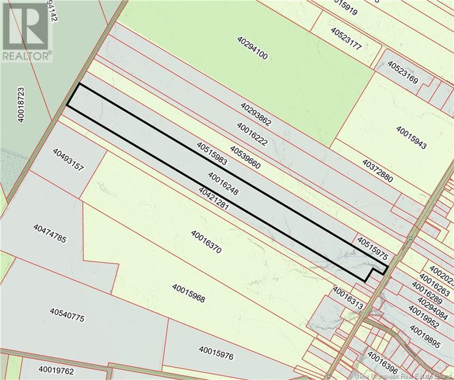 Photo of Listing #NB114088