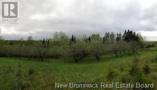 Photo of Listing #NB114257