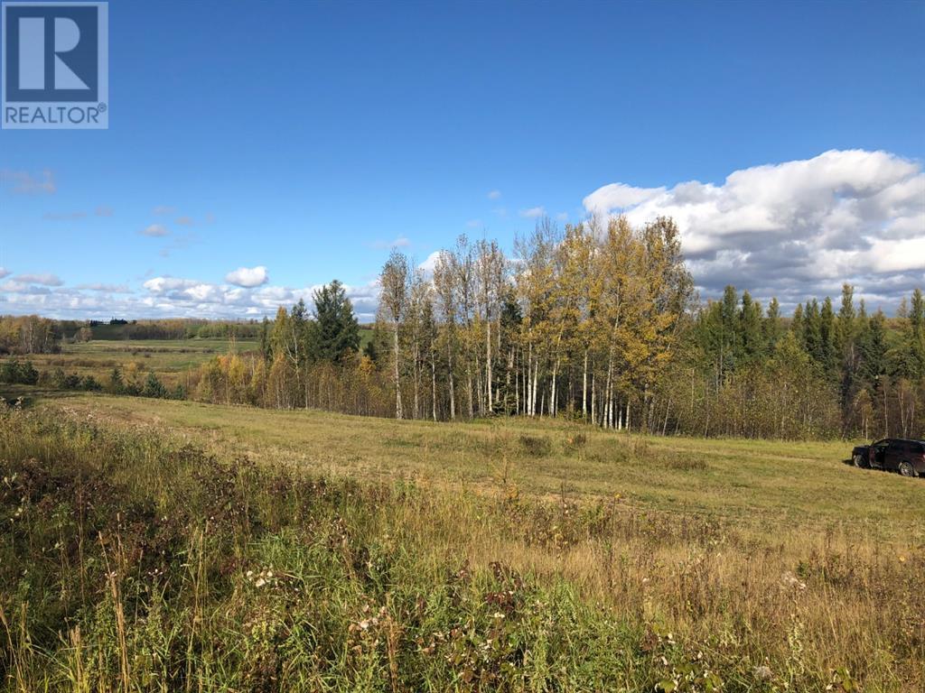 111, 16326 Twp Road 675, Plamondon