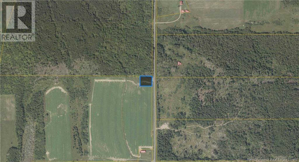 Photo of Listing #NB114527