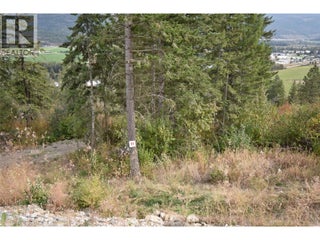 213 Crooked Pine Road. Enderby, British Columbia