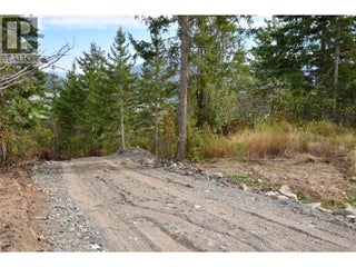207 Crooked Pine Road. Enderby, British Columbia