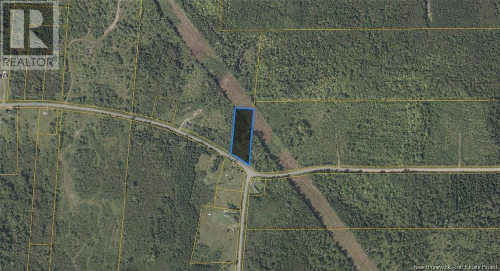 Photo of Listing #NB114529