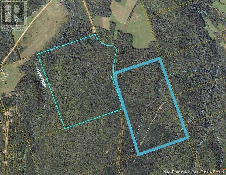 Photo of Listing #NB114514