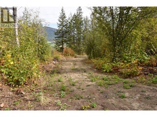 219 Crooked Pine Road. Enderby, British Columbia