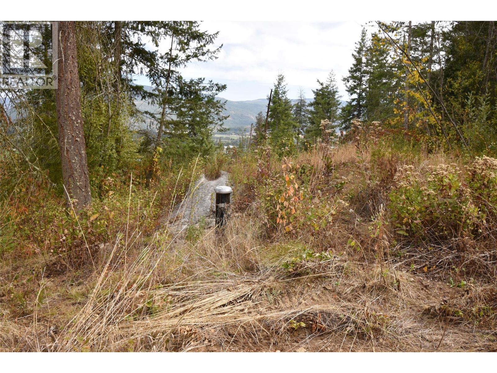 246 Crooked Pine Road. Enderby, British Columbia