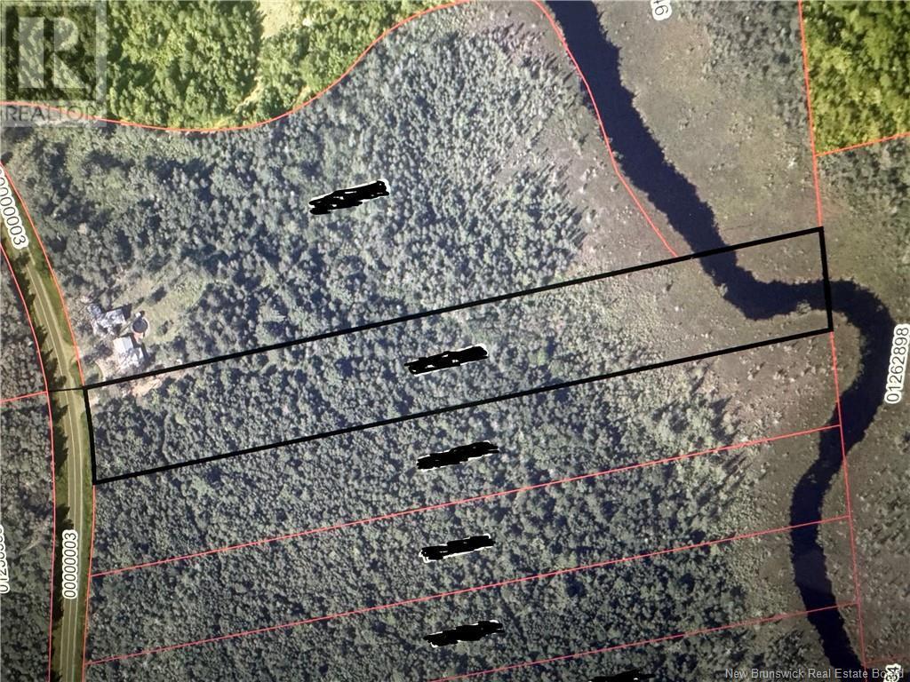 Photo of Listing #NB114665