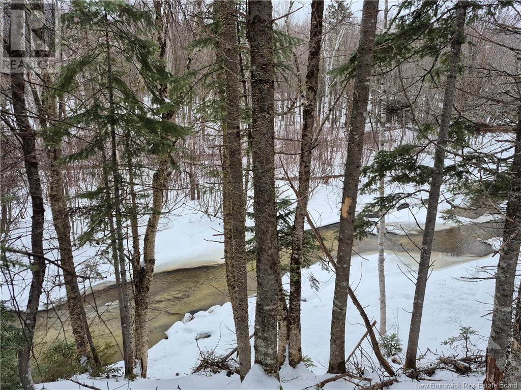 Photo of Listing #NB114813