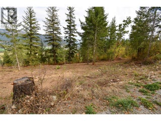 243 Crooked Pine Road. Enderby, British Columbia