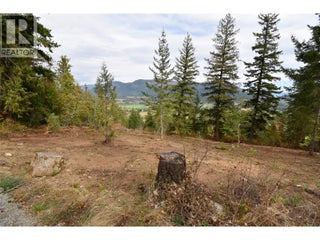 243 Crooked Pine Road. Enderby, British Columbia