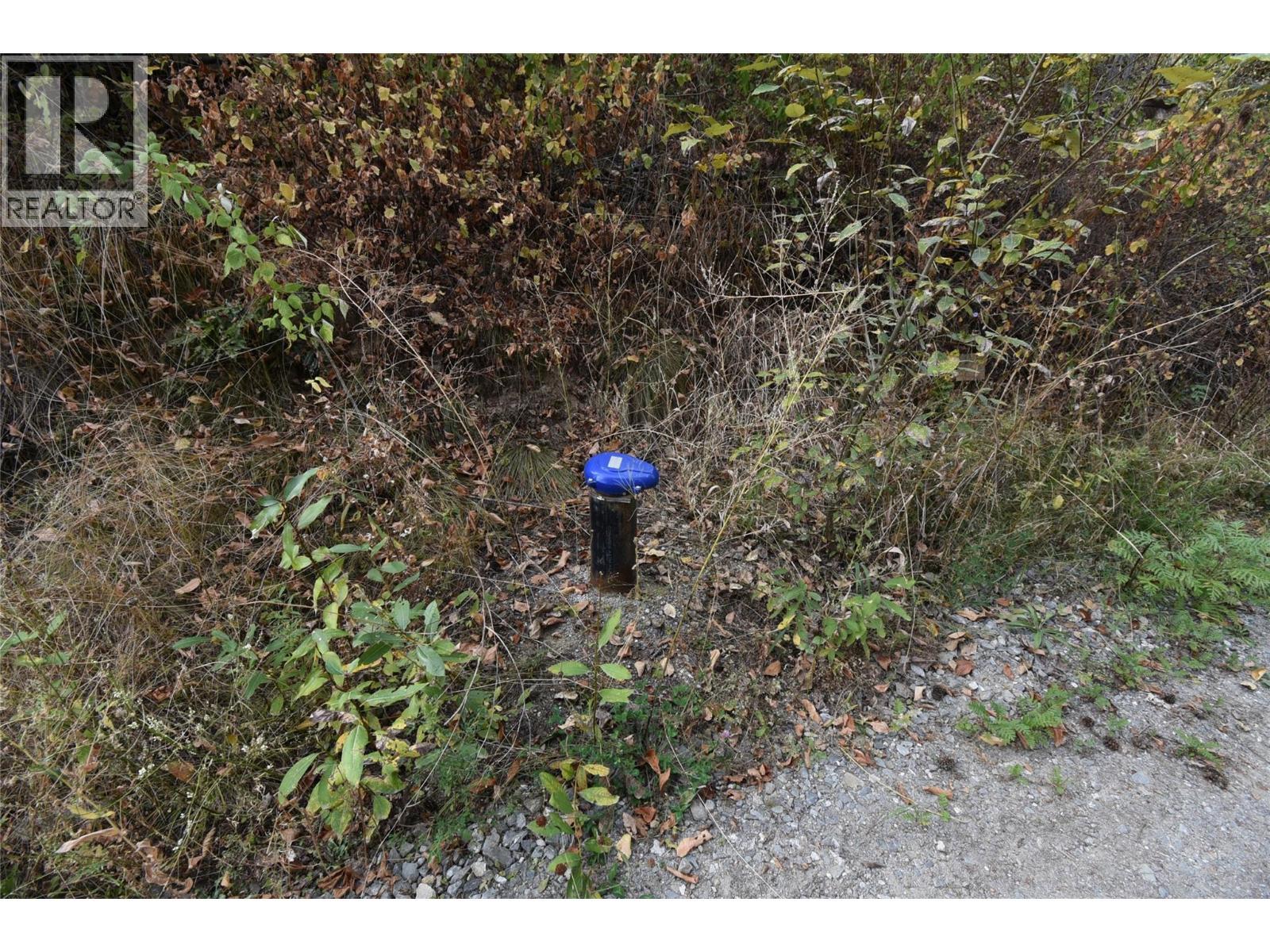 243 Crooked Pine Road. Enderby, British Columbia