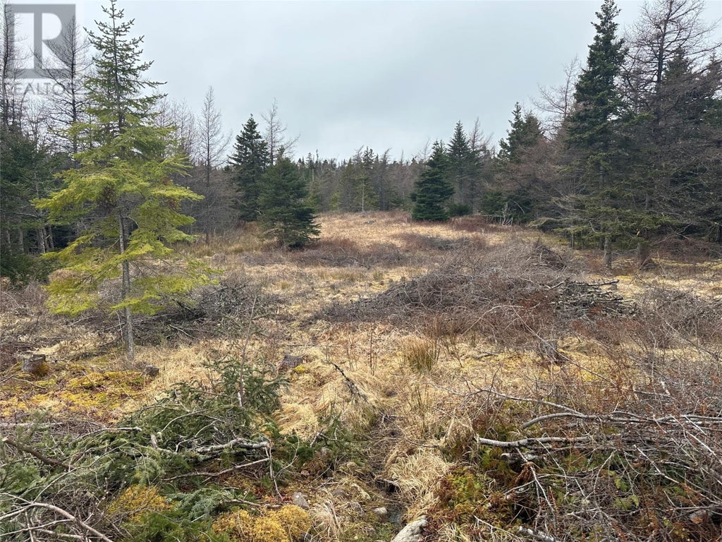 11 North Side Road, Holyrood