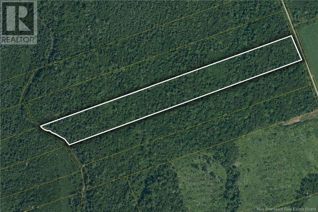 Photo of Listing #NB115139