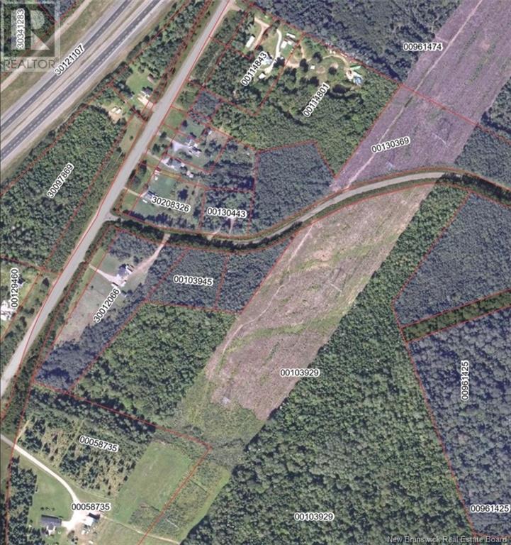 Photo of Listing #NB114720