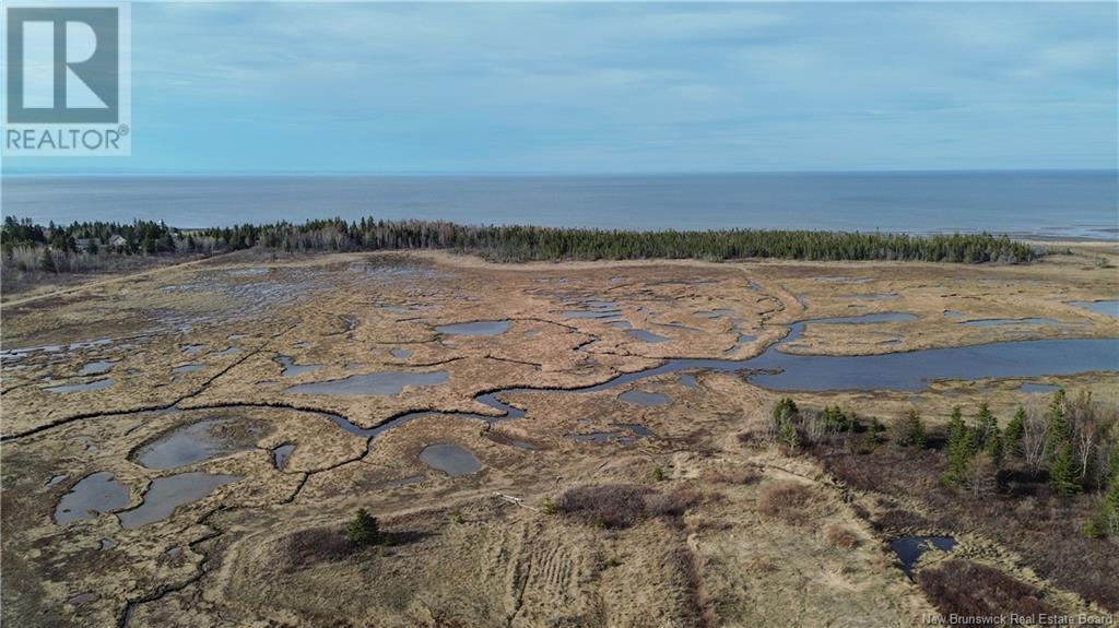 Photo of Listing #NB115239