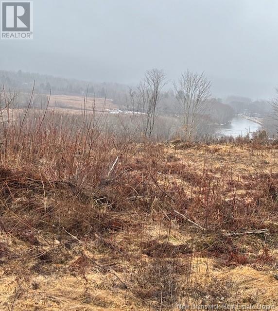 Photo of Listing #NB114984