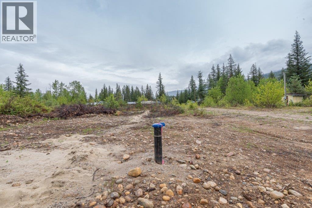 4103 Balsam Way. Malakwa, British Columbia